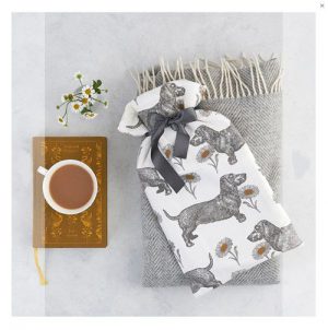 Teckel en Madeliefjes kruik boven een deken met een kopje thee
