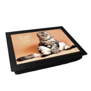 Dienblad-met-Kussen-Cat-Lazy